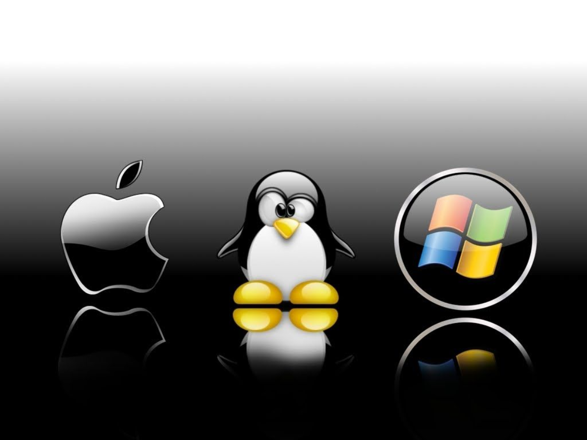 Photoshop unter Linux rückt näher