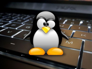 Linux-Kernel 6.19.10 und mehrere LTS-Zweige sind erschienen