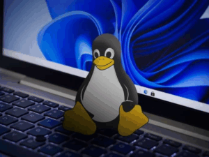 Ubuntu behebt jq-Regression aus Sicherheitsupdate USN-8202-1