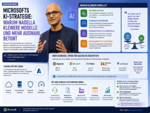 Microsofts KI-Strategie: Warum Nadella kleinere Modelle und mehr Auswahl betont